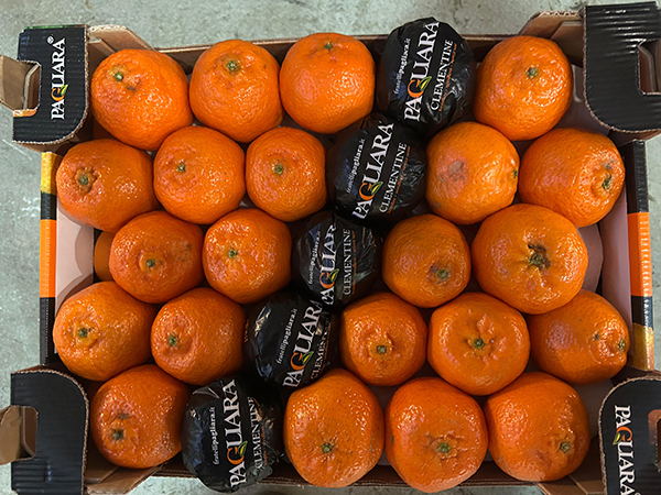 Clementine cal. 2 Origine Puglia, prezzo 1,90 euro al chilo